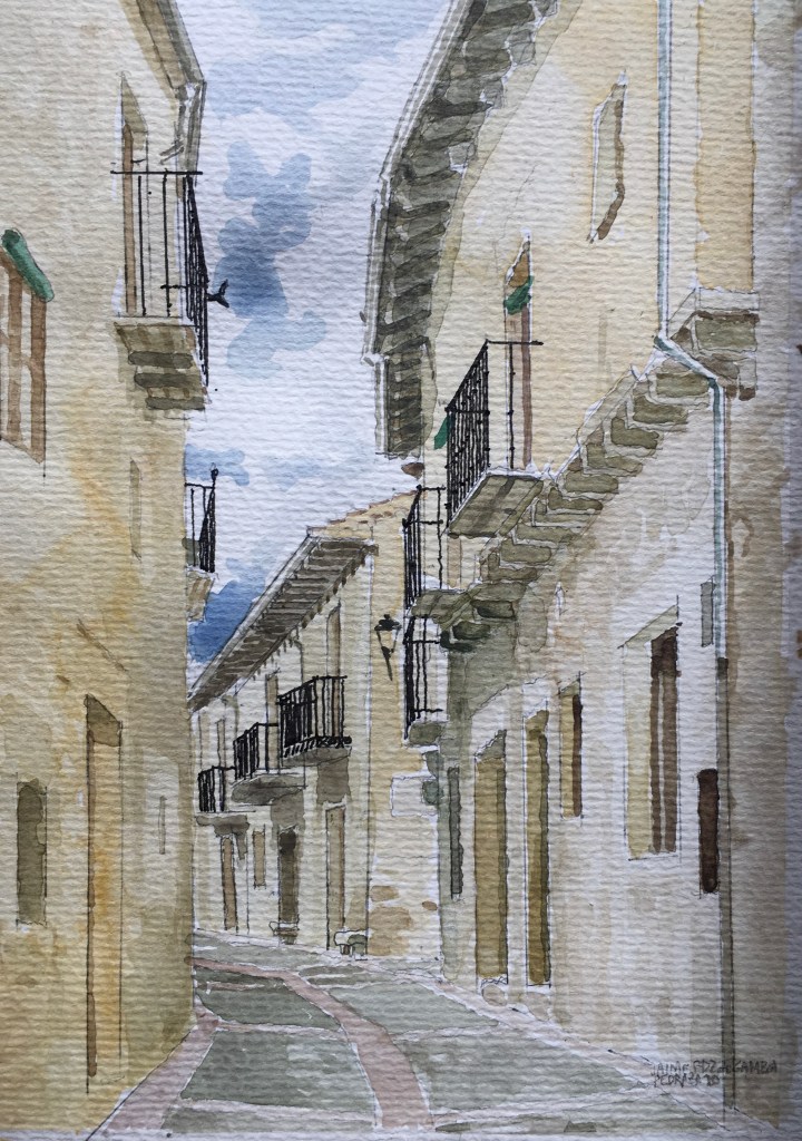 Calle Real, Pedraza (20x15)